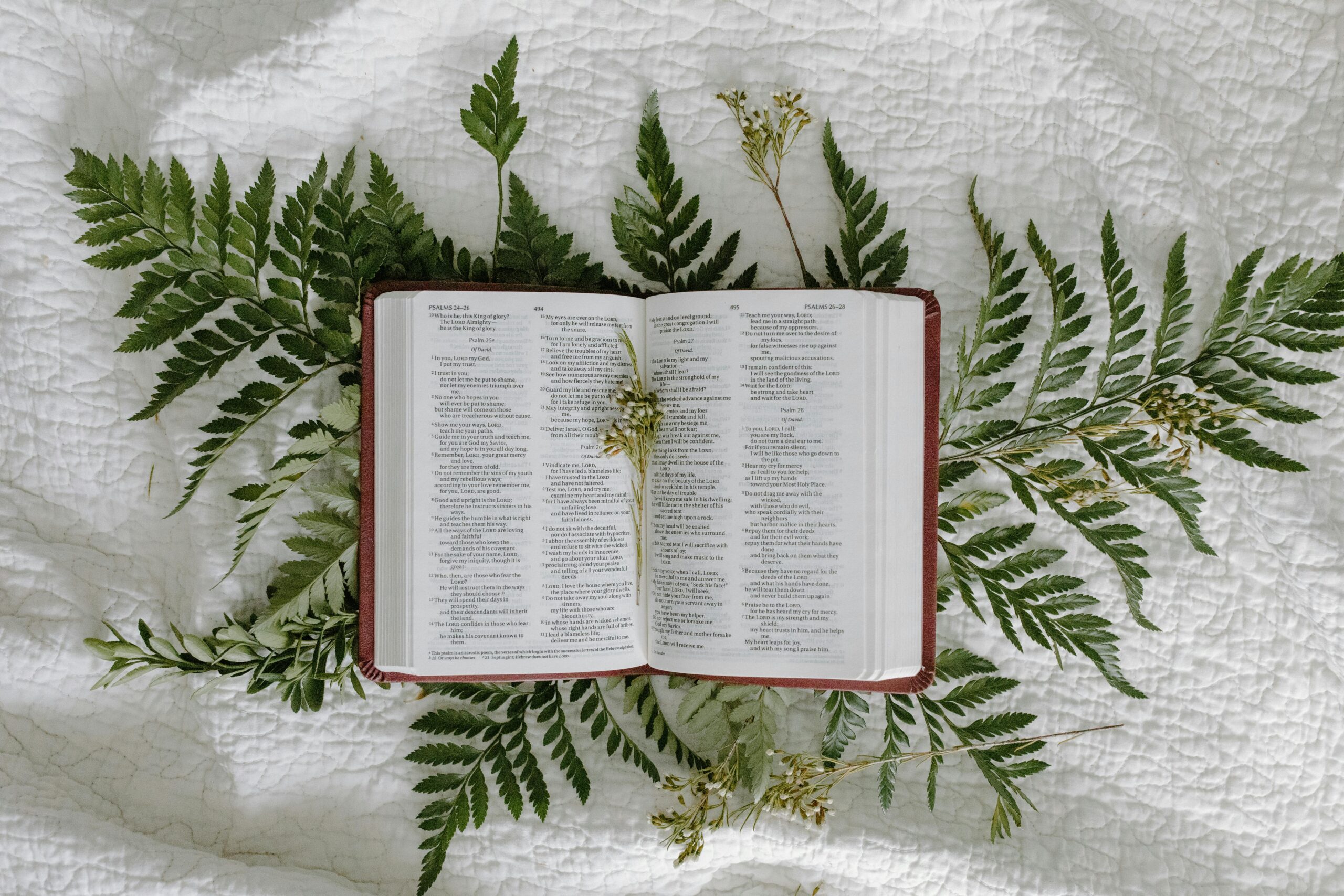 Jejum na Bíblia: Um Caminho de Conexão Espiritual e Autoconhecimento