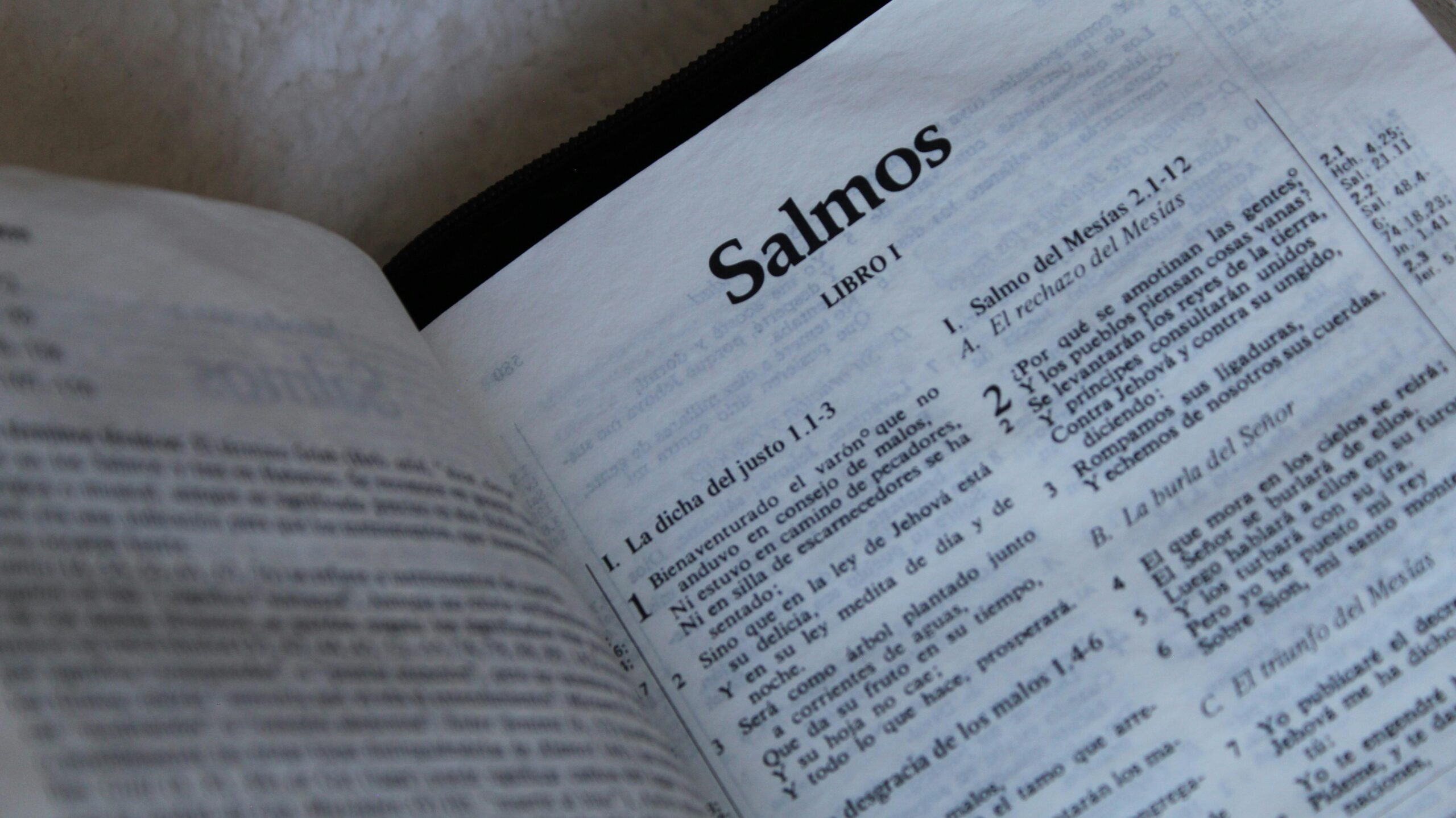 Quem Escreveu os Salmos? A Inspiradora História Por Trás dos Textos Sagrados
